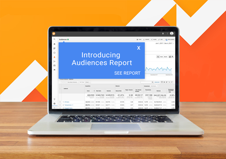 Google Analytics - Audience report